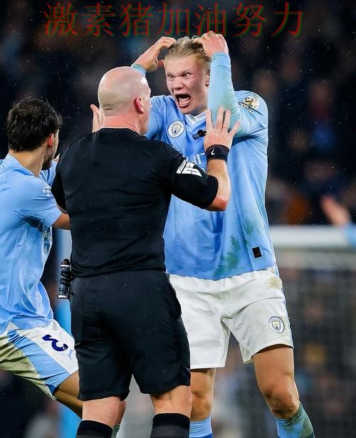 哈兰德赛后发言球迷情绪彻底被点燃