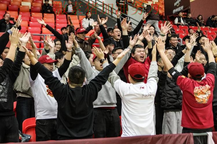 猛龙连续取胜点燃全场